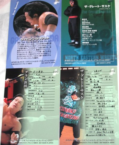 MICHINOKU & BATTLARTS OFFICIAL CARD COLLECTION 2001